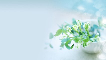 影响测功机的基本转速的因素有哪些?
